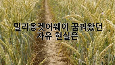 밀리옹겟어웨이: 꿈꿔왔던 자유, 현실은?